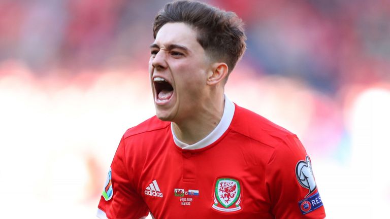 Daniel James has played a variety of roles for Wales
