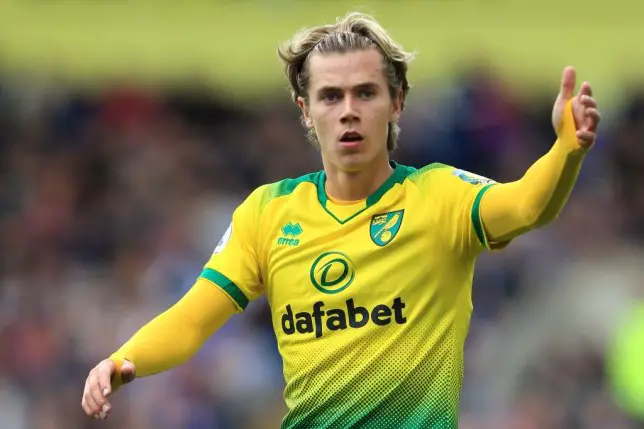 Todd Cantwell has impressed for Norwich CityTodd Cantwell has impressed for Norwich City