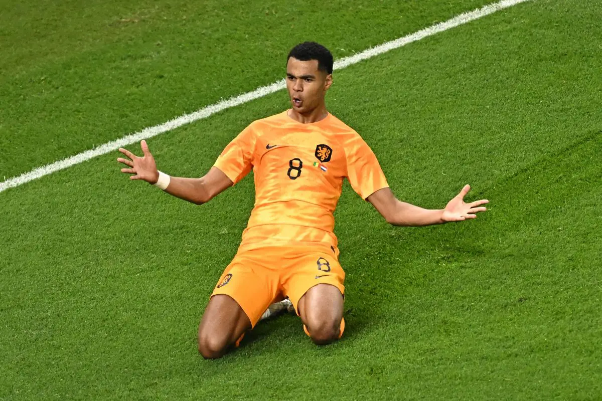PSV and The Netherlands forward Cody Gakpo has been impressive at the World Cup.