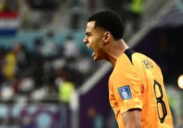 Netherlands' forward #08 Cody Gakpo celebrates after he scored his team's first goal during the Qatar 2022 World Cup Group A football match between the Netherlands and Ecuador at the Khalifa International Stadium in Doha on November 25, 2022.
