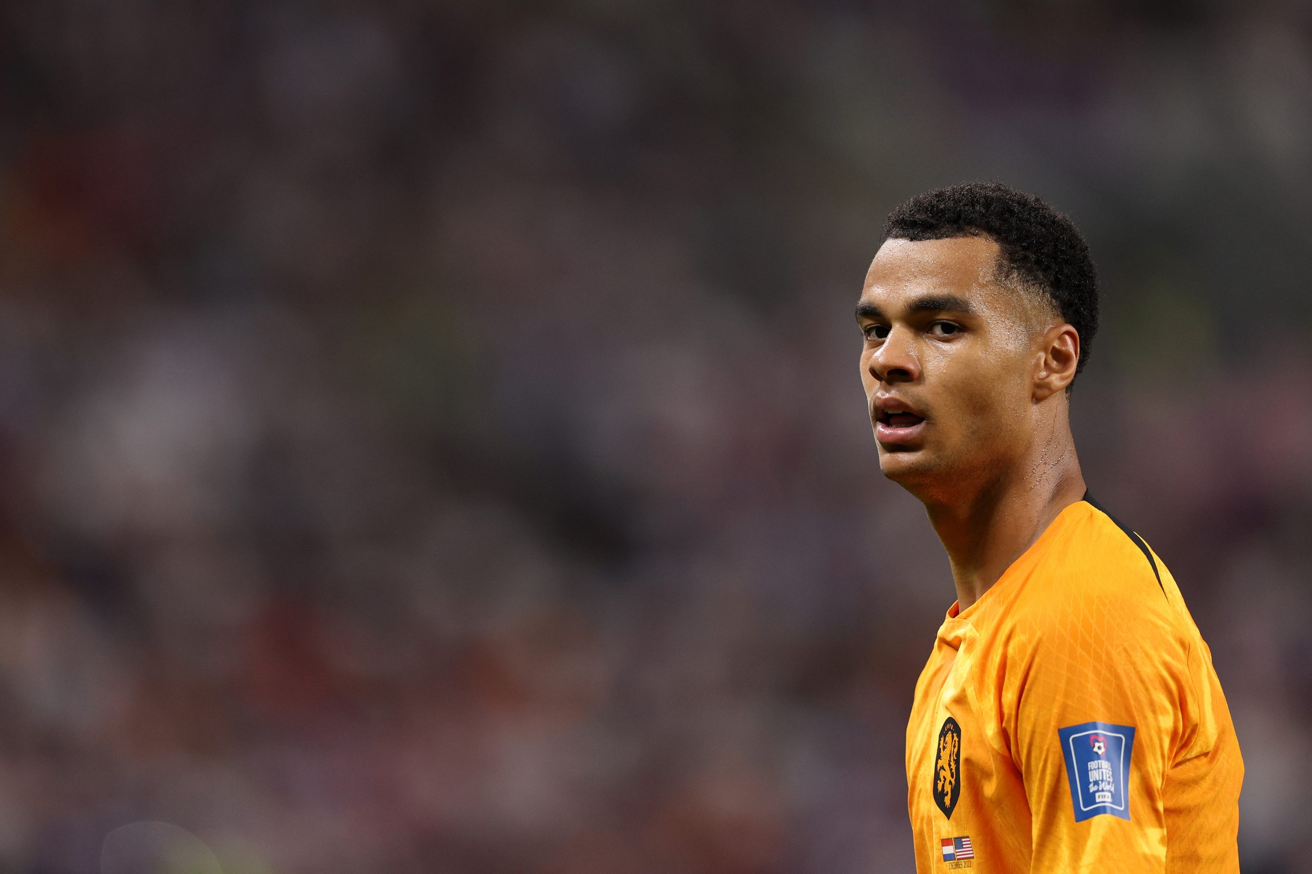 Cody Gakpo of Netherlands in action during the FIFA World Cup Qatar 2022 Round of 16 match between Netherlands and USA at Khalifa International Stadium on December 03, 2022 in Doha, Qatar.