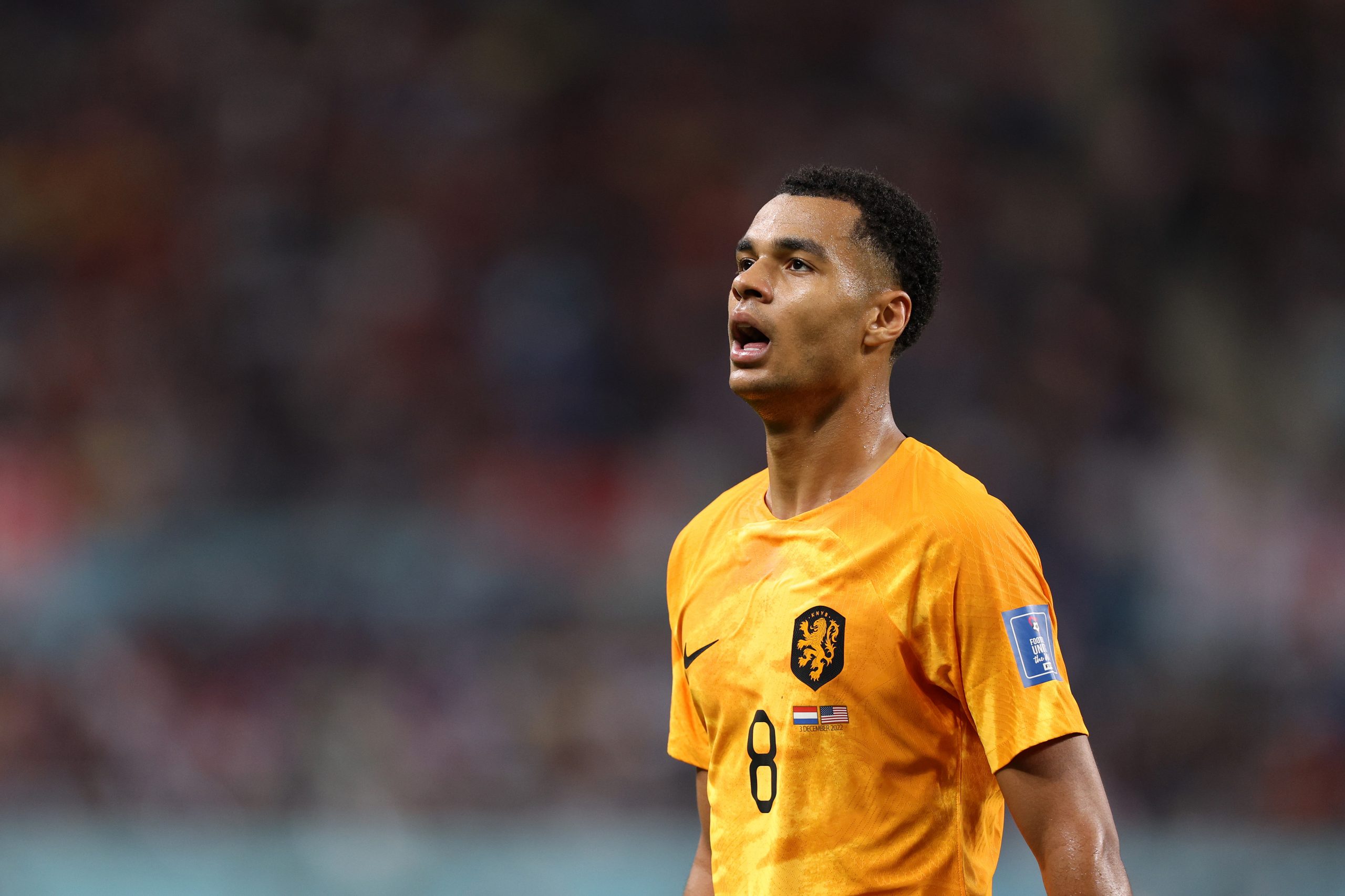 Cody Gakpo of Netherlands in action during the FIFA World Cup Qatar 2022 Round of 16 match between Netherlands and USA at Khalifa International Stadium on December 03, 2022 in Doha