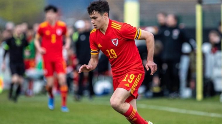 Manchester United 'set to complete' signing of Cardiff City youngster Gabriele Biancheri,