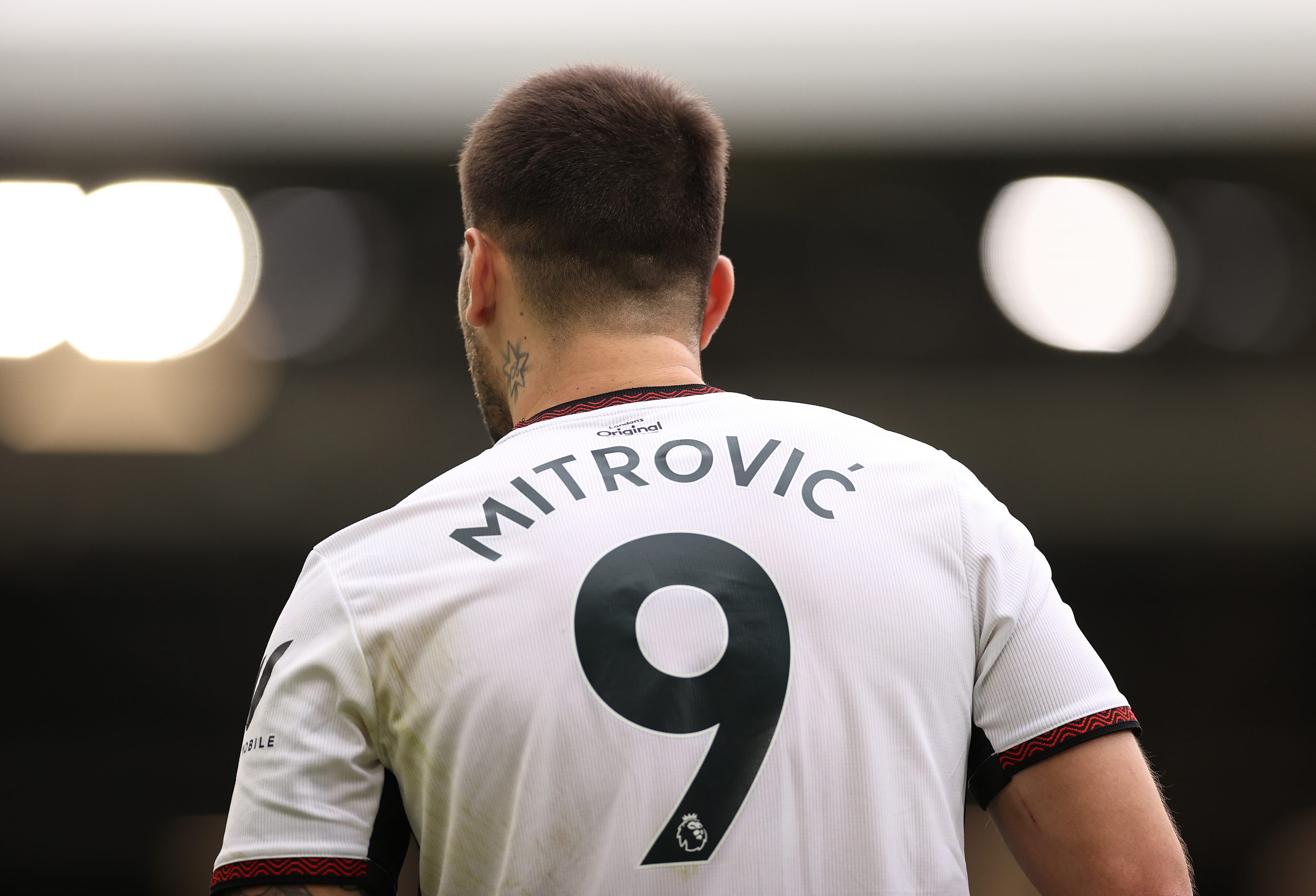 Aleksandar Mitrovic of Fulham