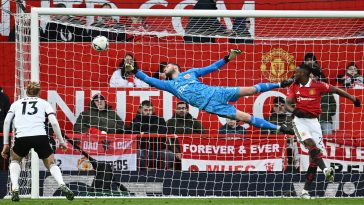 Manchester United are willing to sign two new goalkeepers in the summer transfer window.
