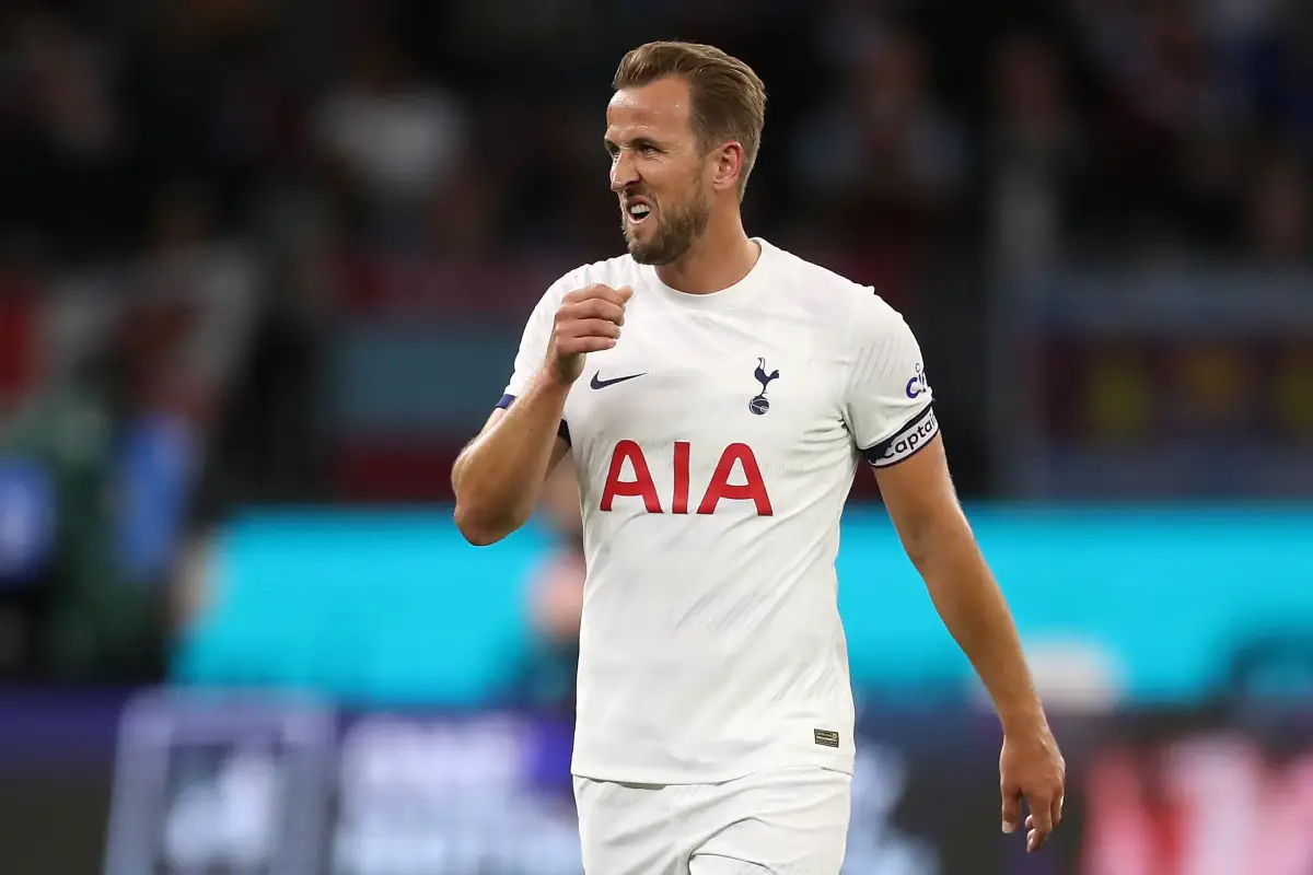 Harry Kane should've been a priority target for Manchester United says Scholes. (Photo by Paul Kane/Getty Images)